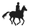 Athlete riding a horse at a gallop, isolated silhouette Royalty Free Stock Photo